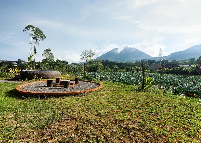 Orman Evi Lava Mountain View By Ihm